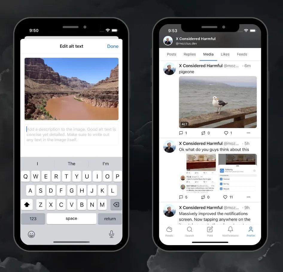 Graysky media 3