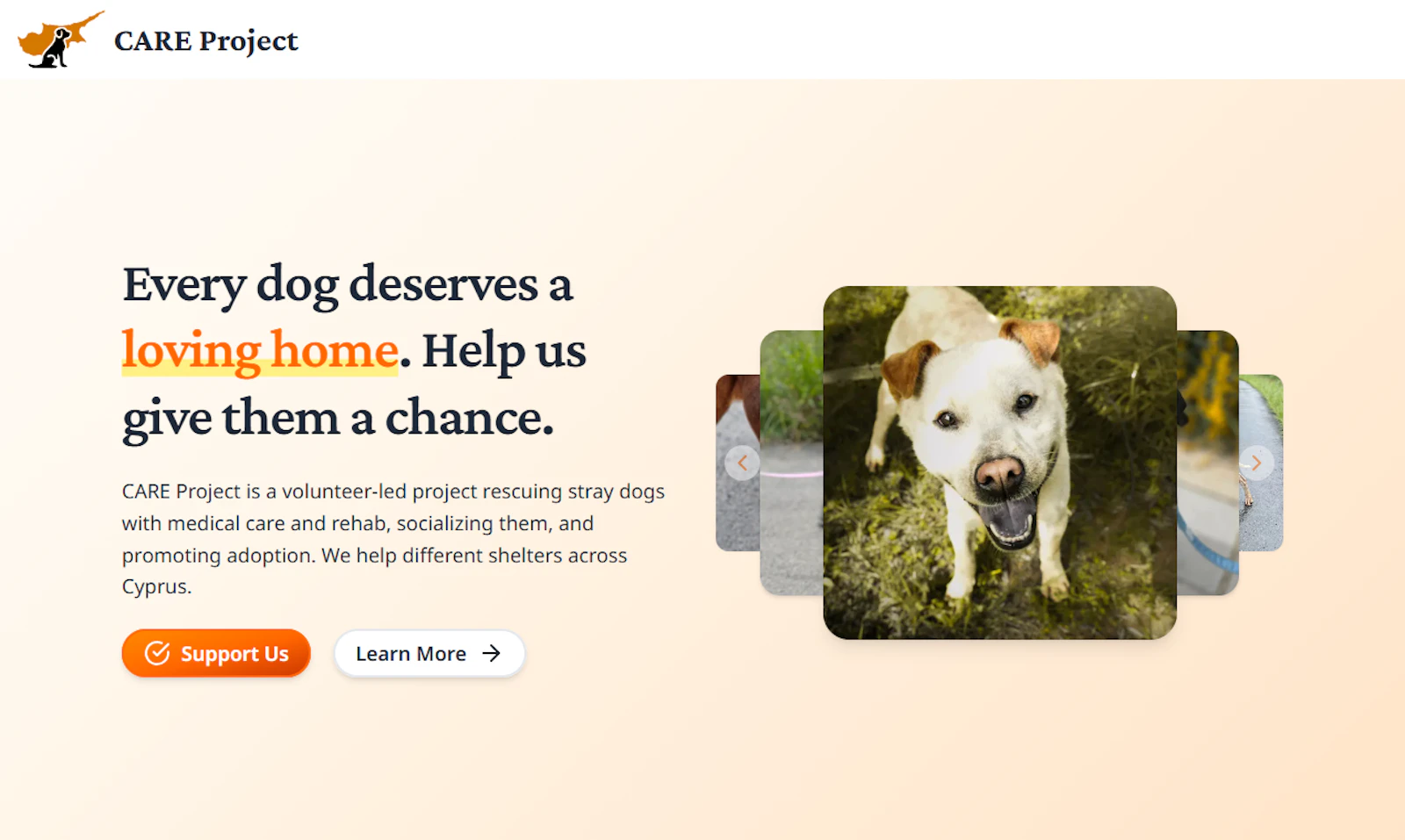 CARE Project screenshot 1