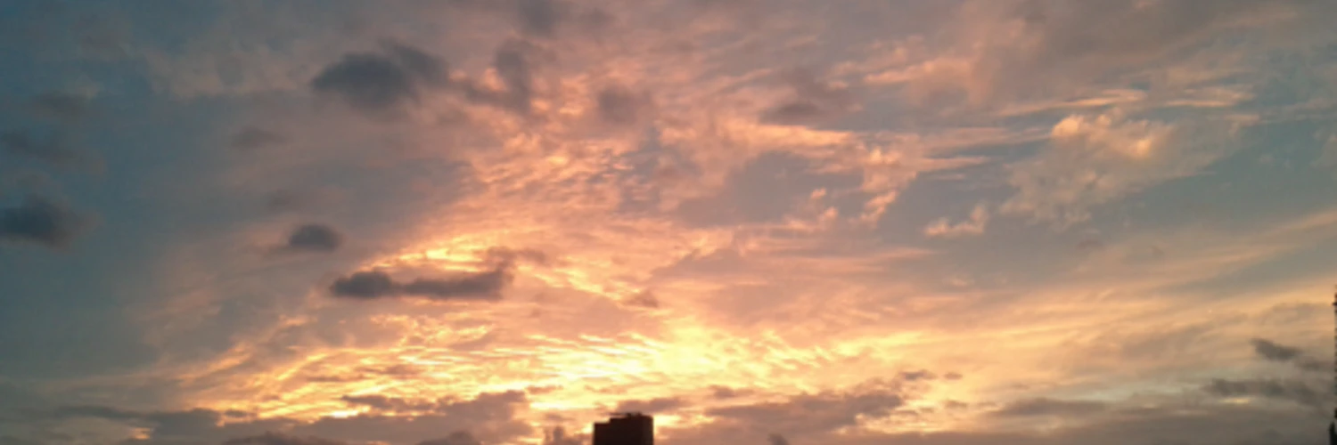 Florian Rauscha cover