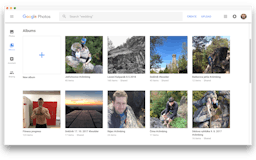 Google Photos for Desktop media 3