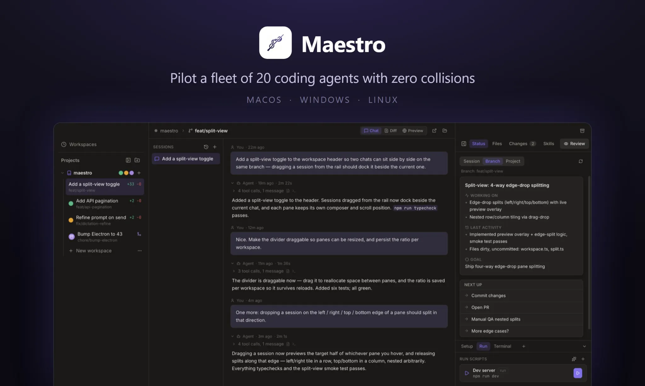 Maestro gallery image