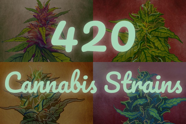 Cannabis NFTs gallery image