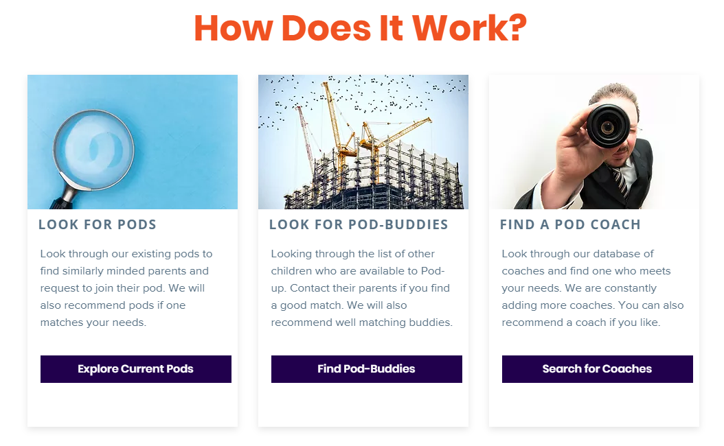 Little Wonder Pods gallery image