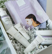 Skin Allies gallery image