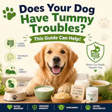 Pawbiotics gallery image