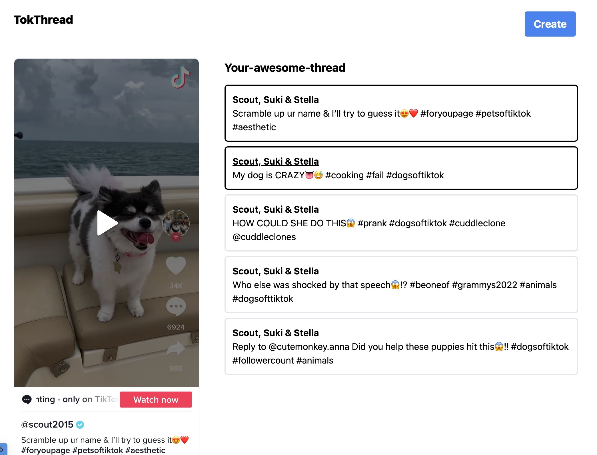 TokThread gallery image