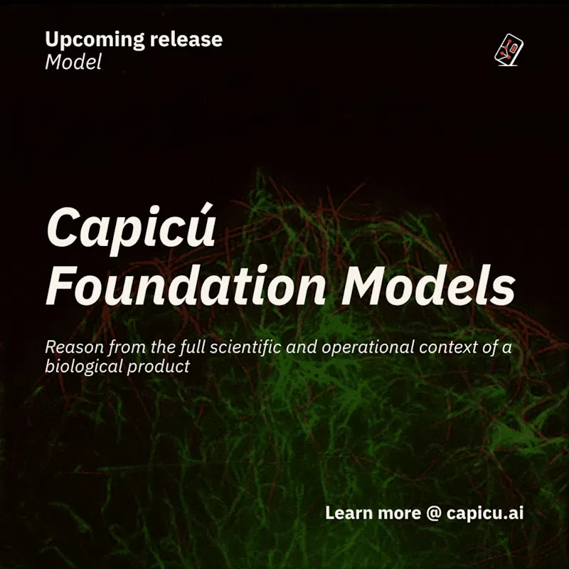 Capicú Foundation Model screenshot 2