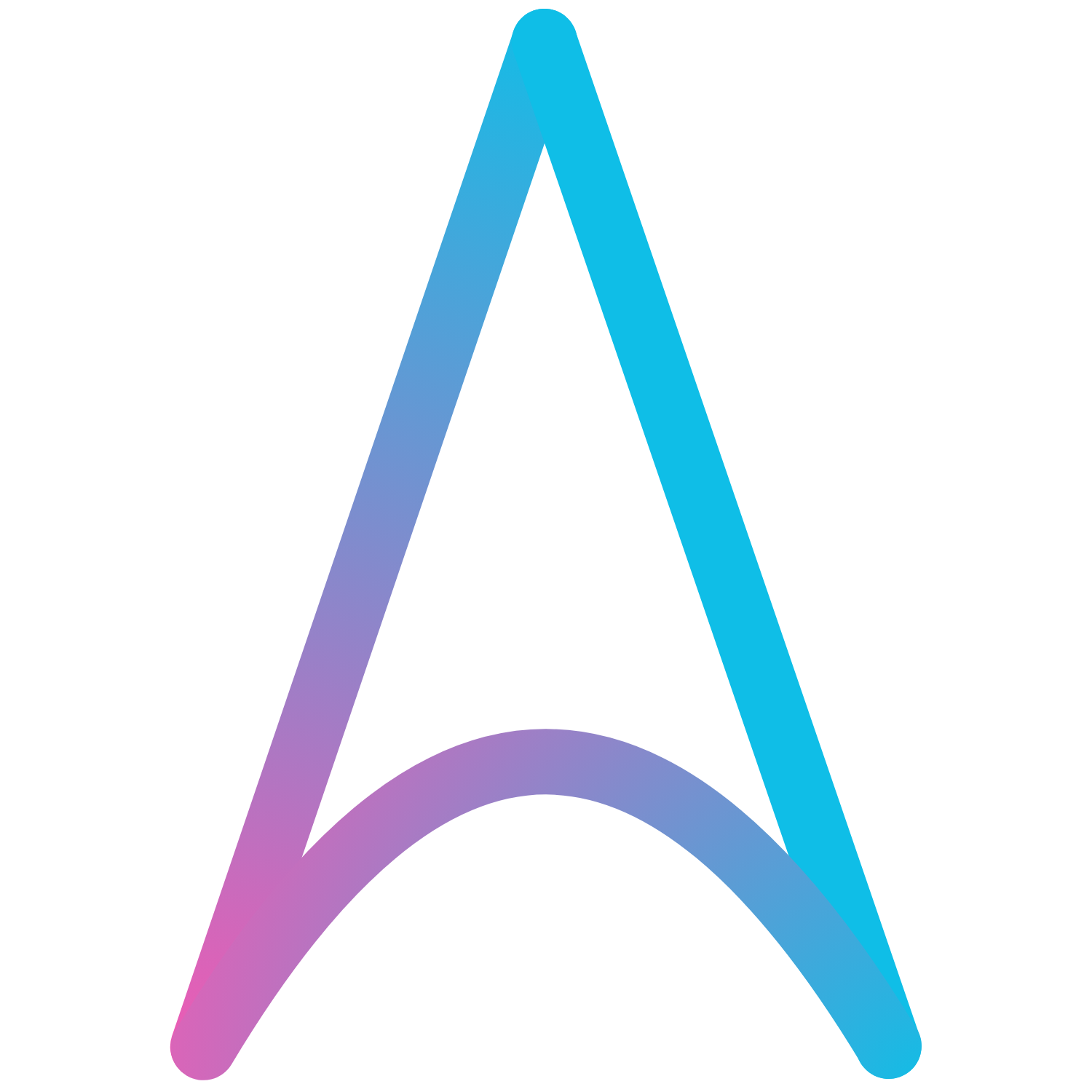 WAISE logo