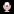 Voice Recorder & Transcription iOS App