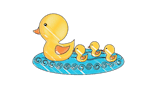 Ducks image