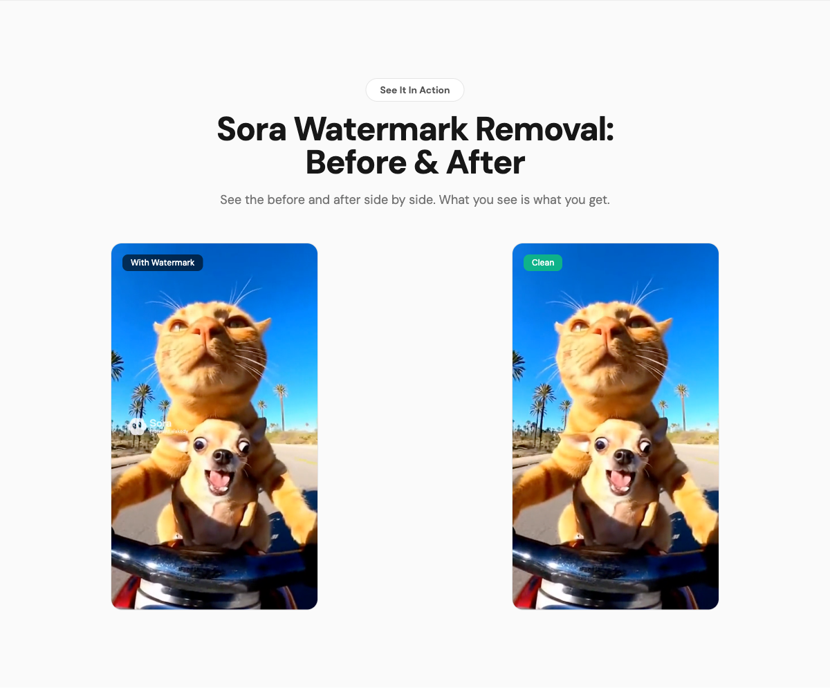 Sora Watermark Remover gallery image