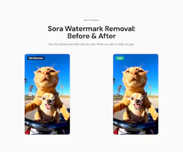 Sora Watermark Remover gallery image