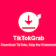 TikTokGrab