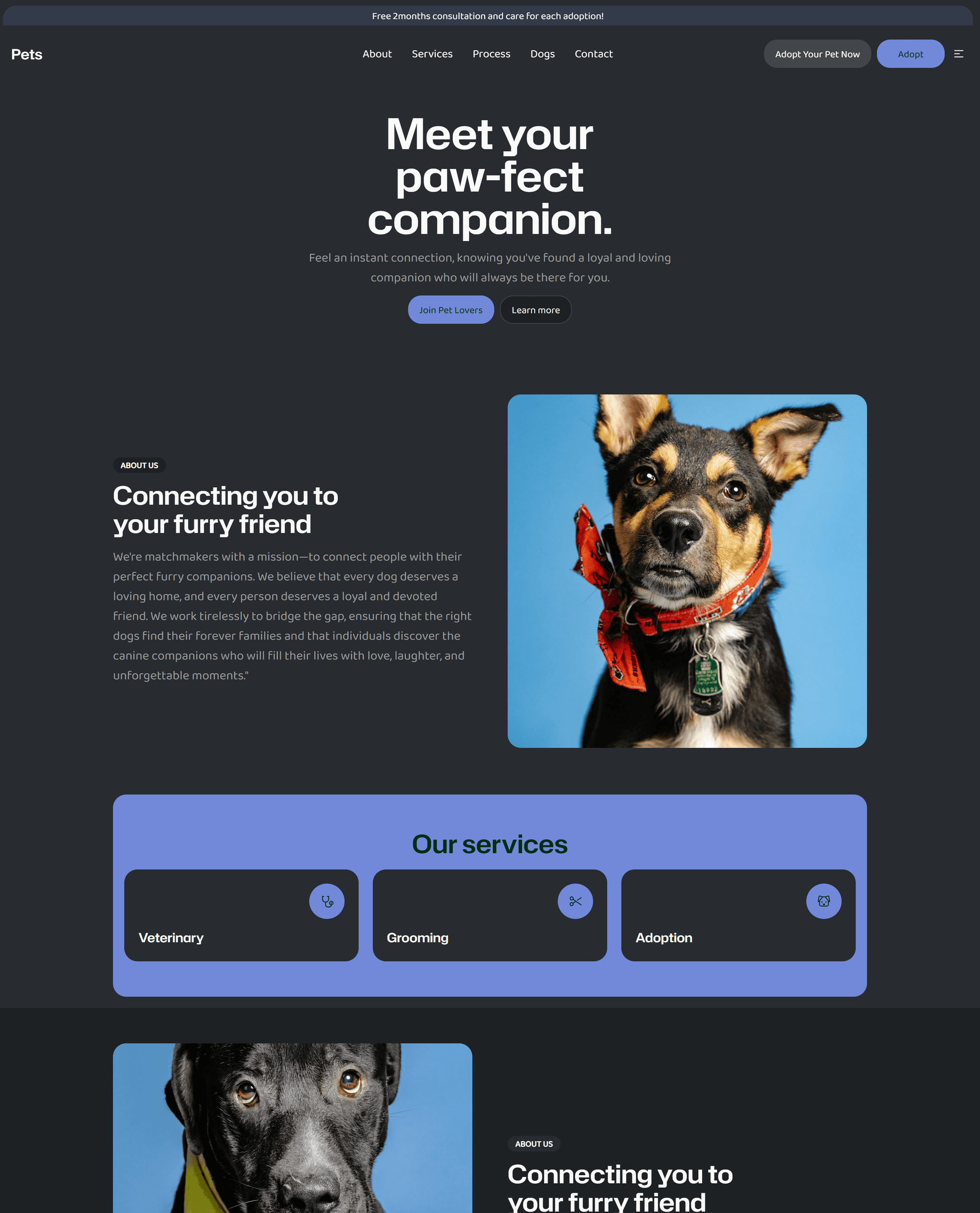 Vixx - Ai website builder media 4