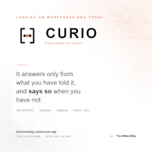 Curio AI Chat gallery image