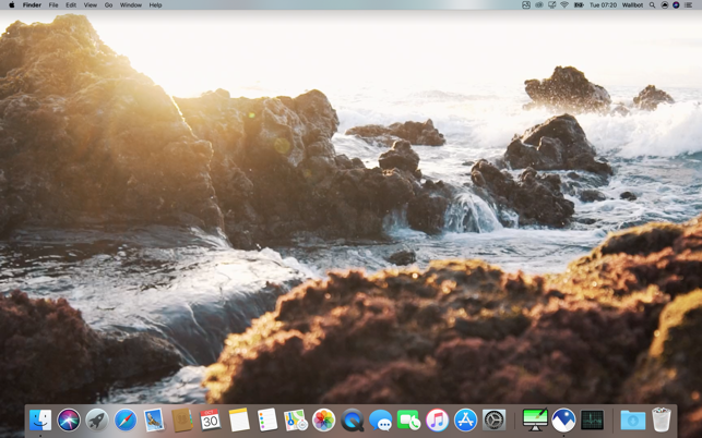 WallBot Video gallery image