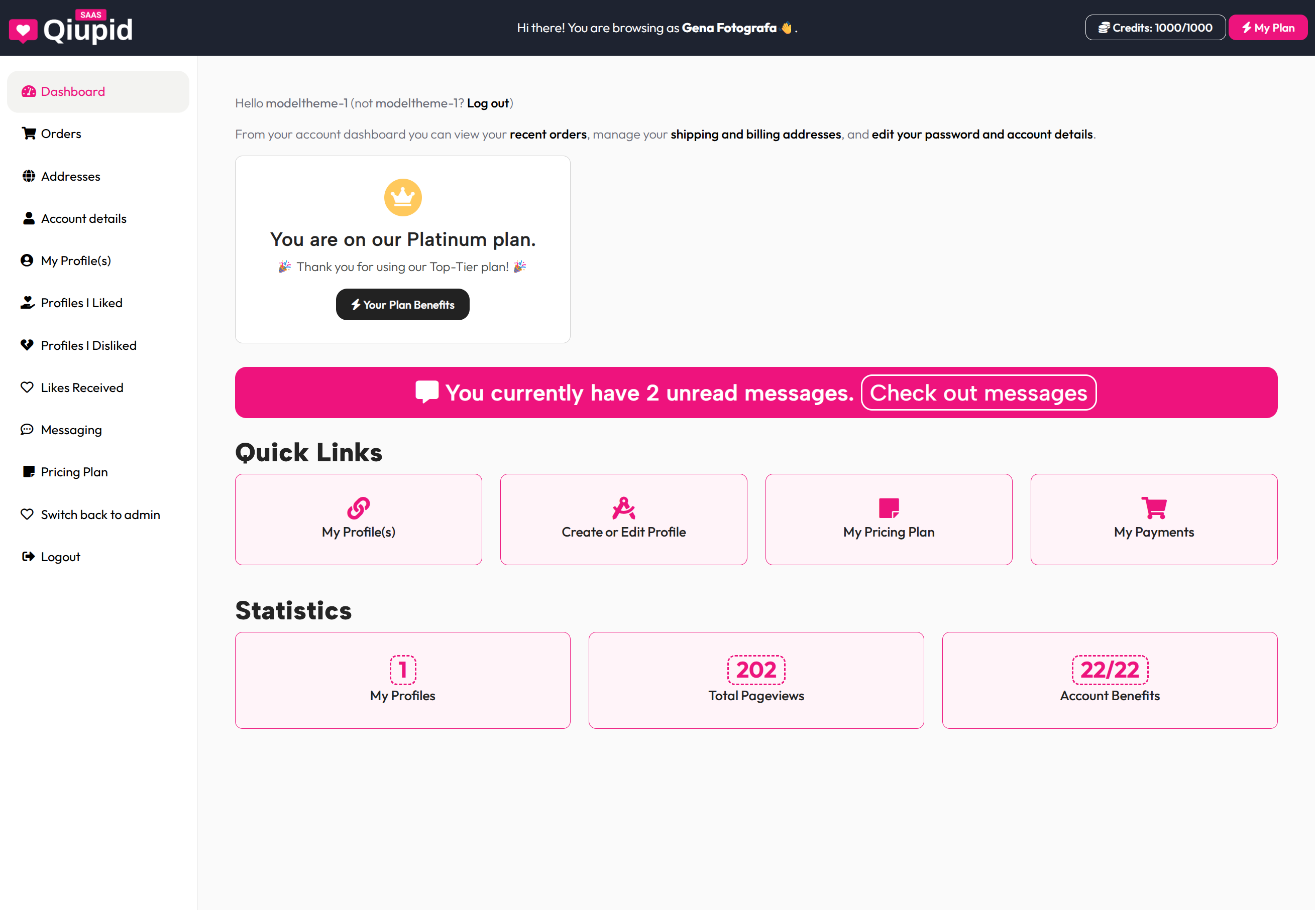 Qiupid 데이트 SaaS - WordPress의 첫 데이트 SaaS 미디어 21