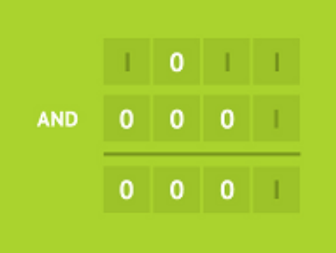 Visualgo gallery image