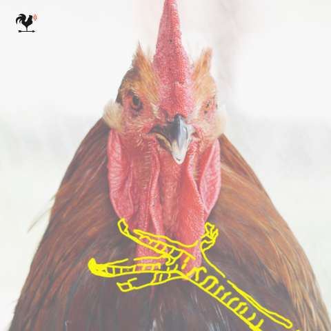 Blind Date by RunBikeHike