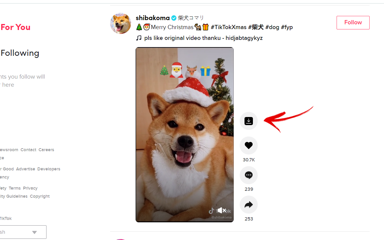 Video downloader for TikTok gallery image