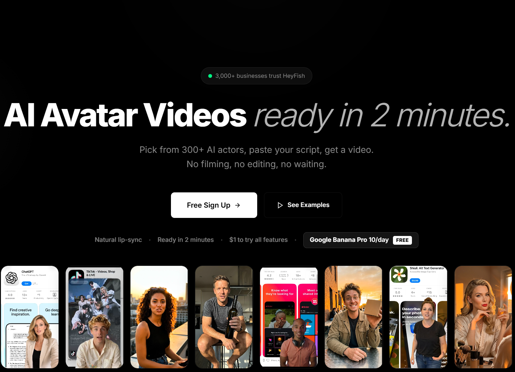 Heyfish — screenshot 1 showing tool features and UI