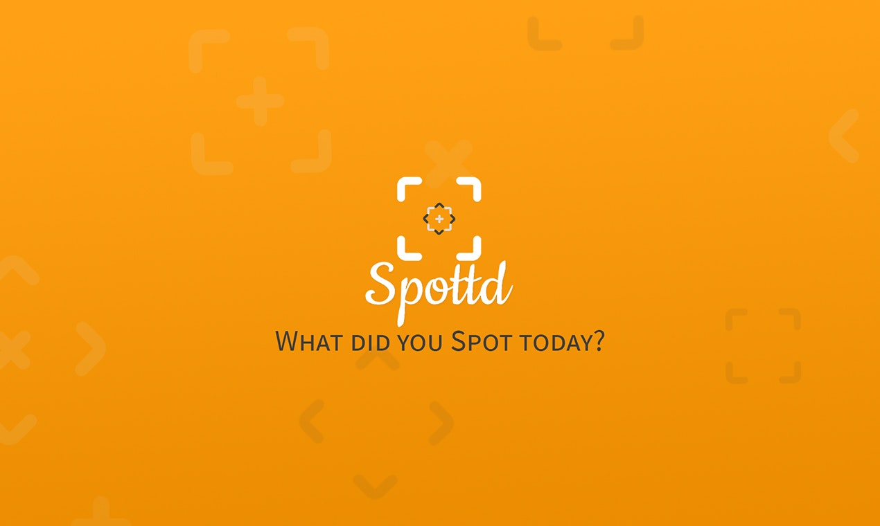 Spottd gallery image