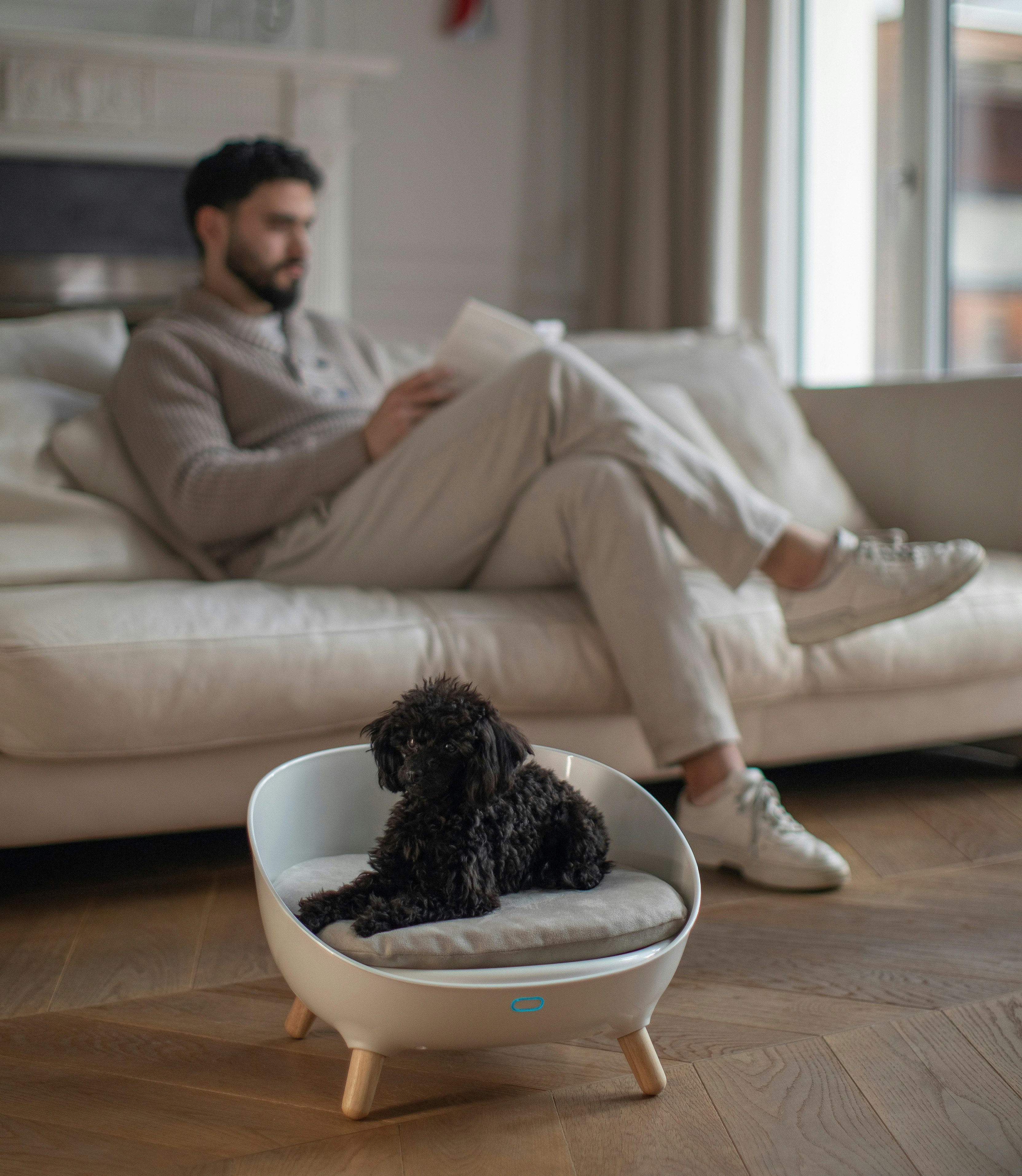 Cudii.Das erste intelligente Hundebett. Medien 6