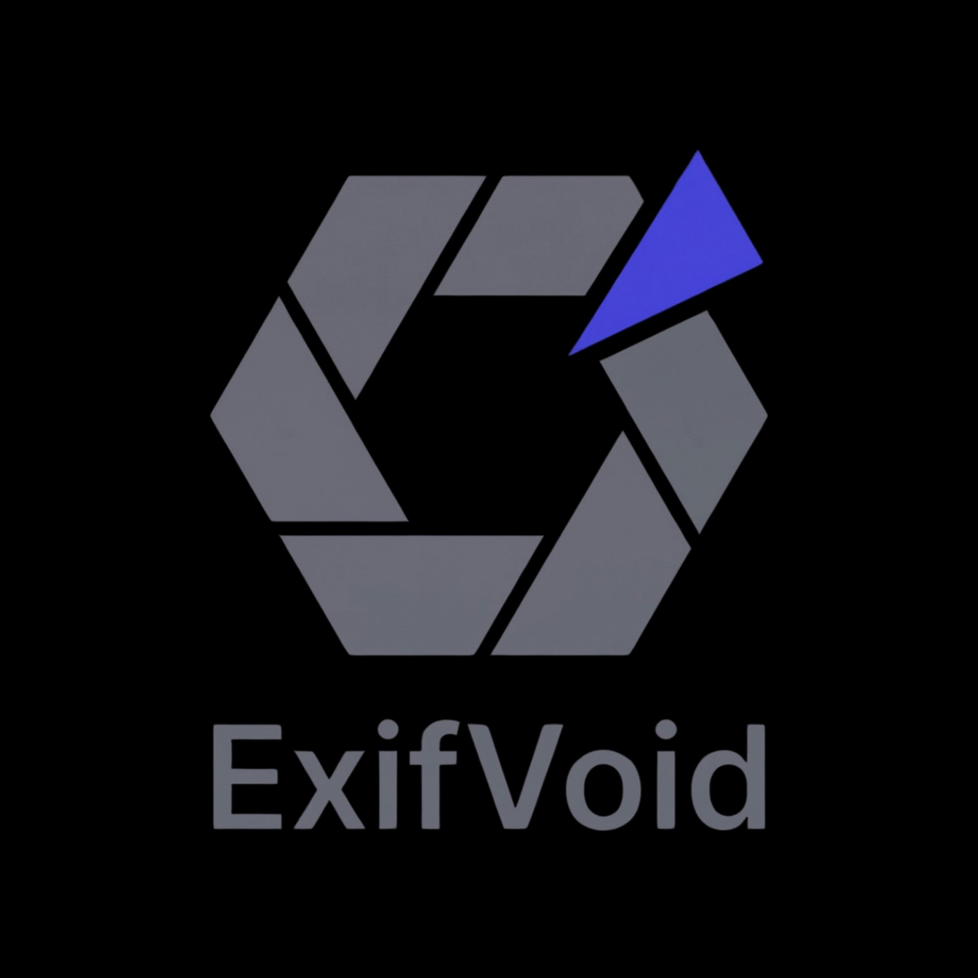 ExifVoid