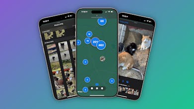 MapPic gallery image