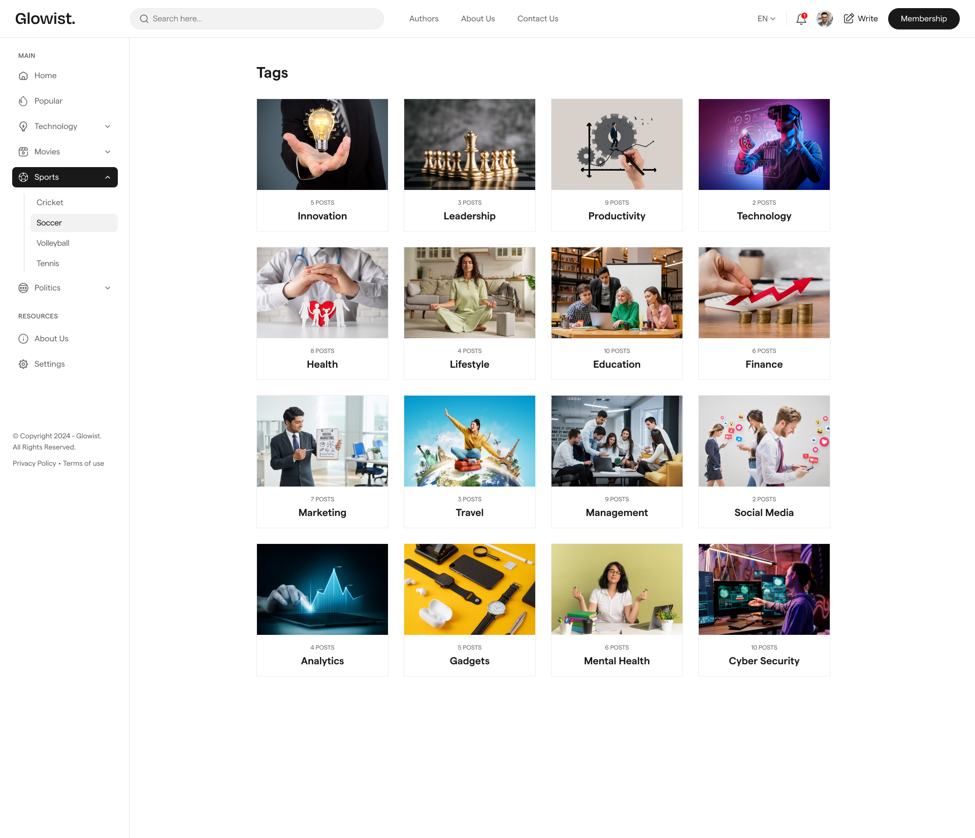 GLOWIS: Templat laman web blog html media 30