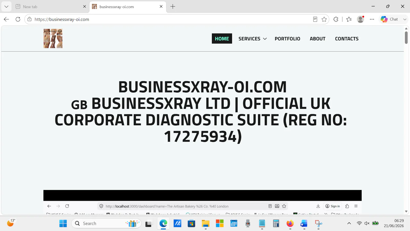 BusinessXray & AnimMatch Portfolio screenshot 2