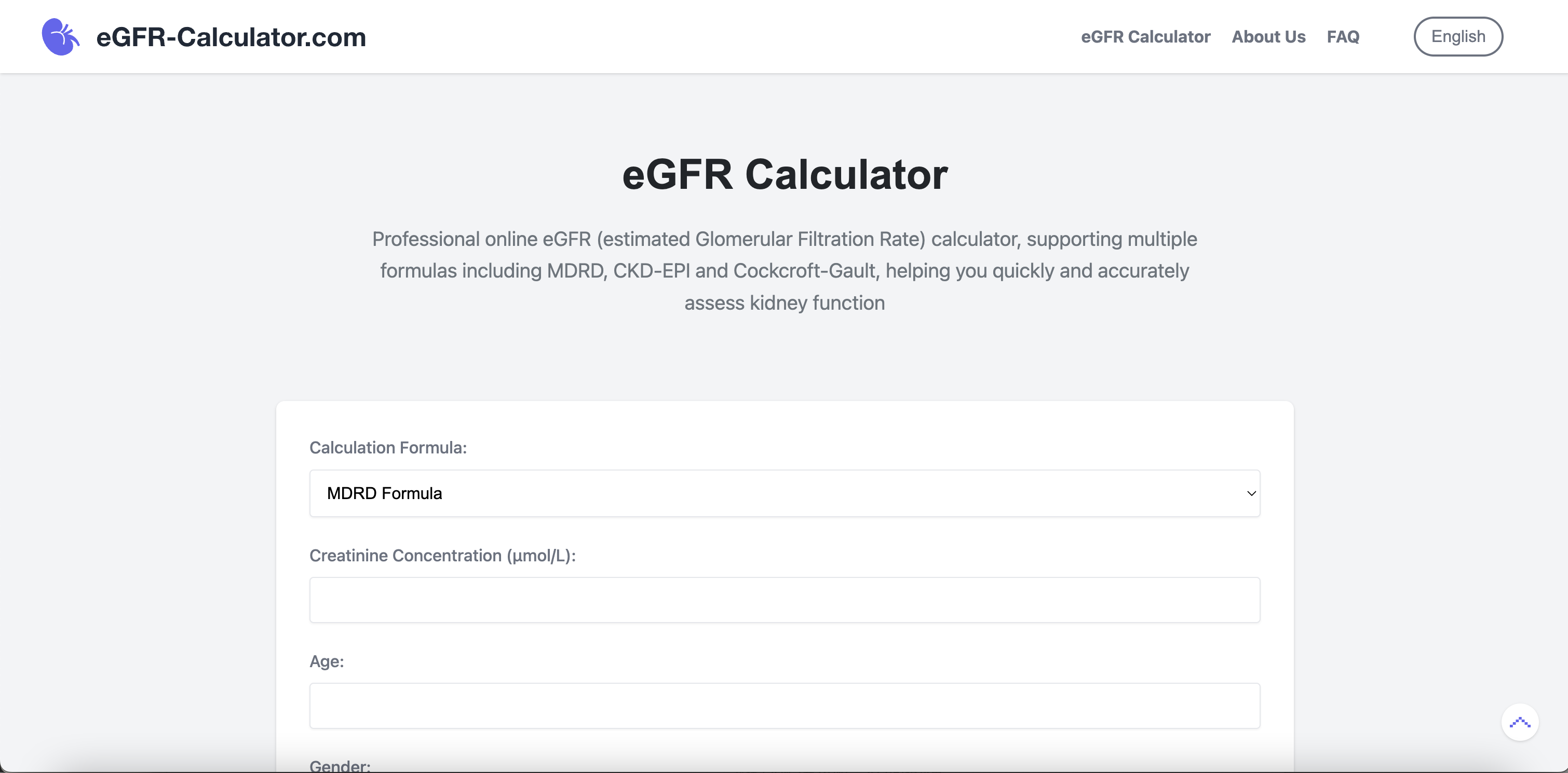 EGFR -Taschenrechner - Professionelles Online -Tool für glomeruläre Filtrationsrate Medien 2