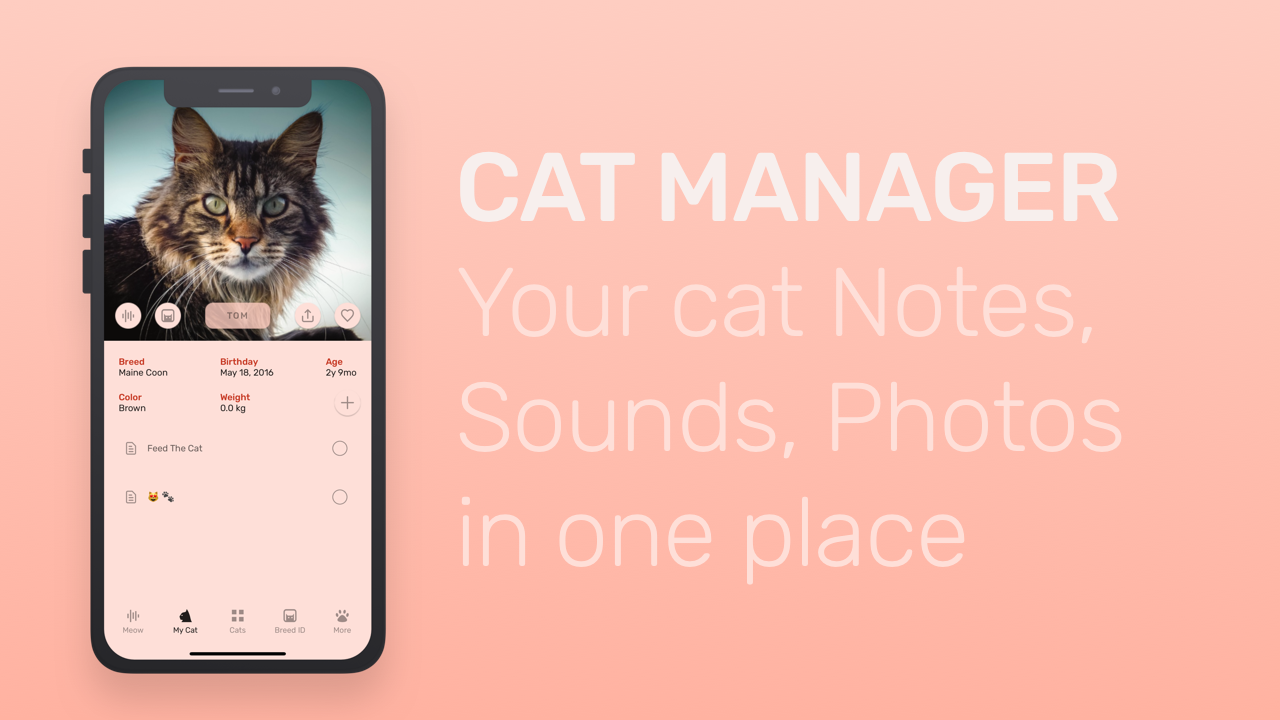 Meowly gallery image