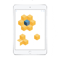 Isometric