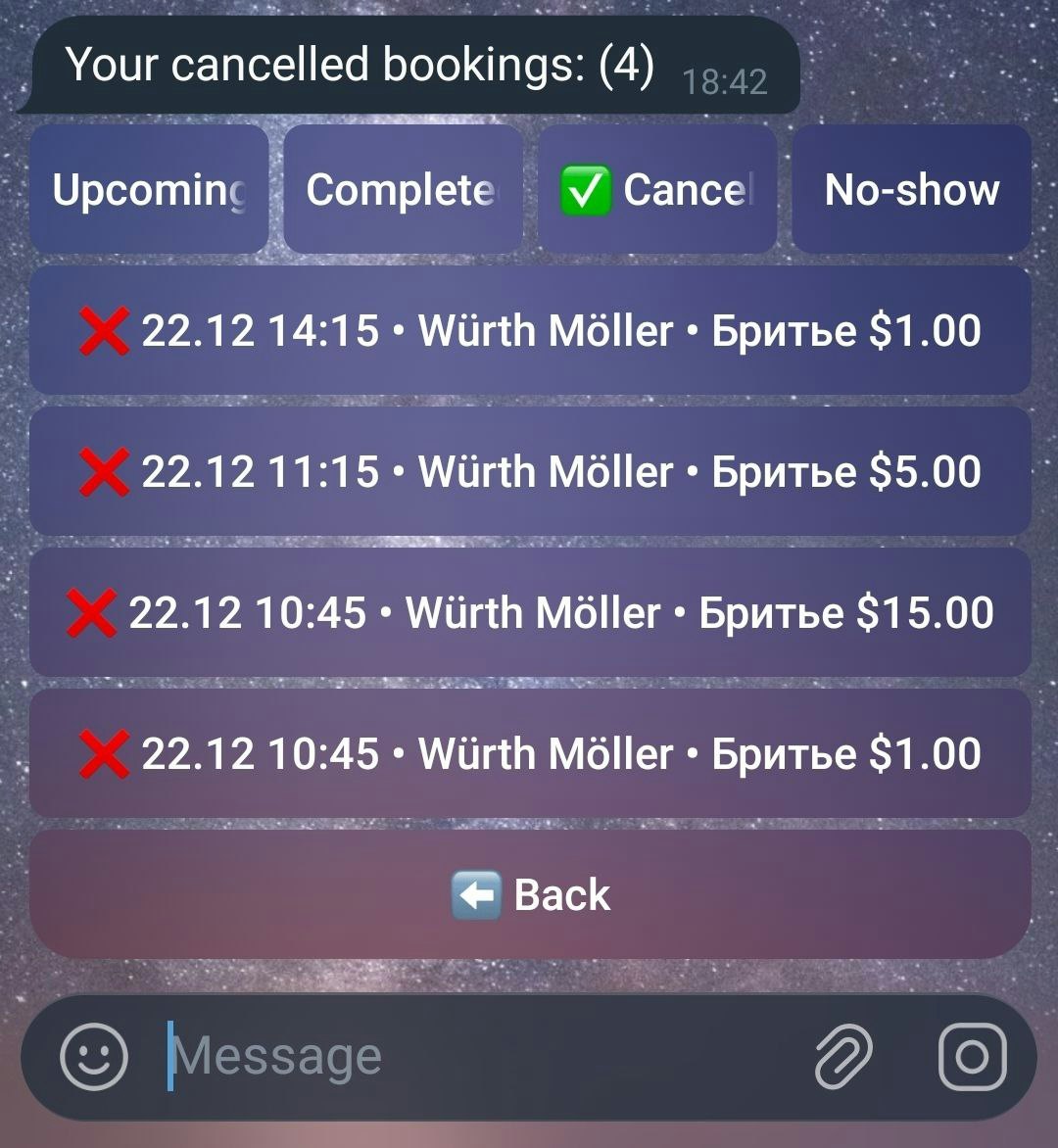 SalonBot — Telegram Booking System gallery image
