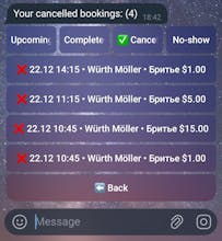 SalonBot — Telegram Booking System gallery image