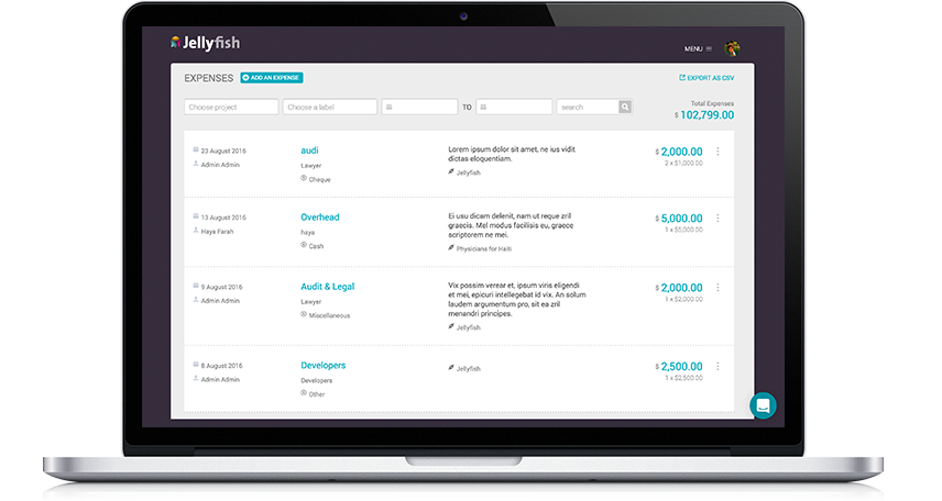 Jellyfish gallery image