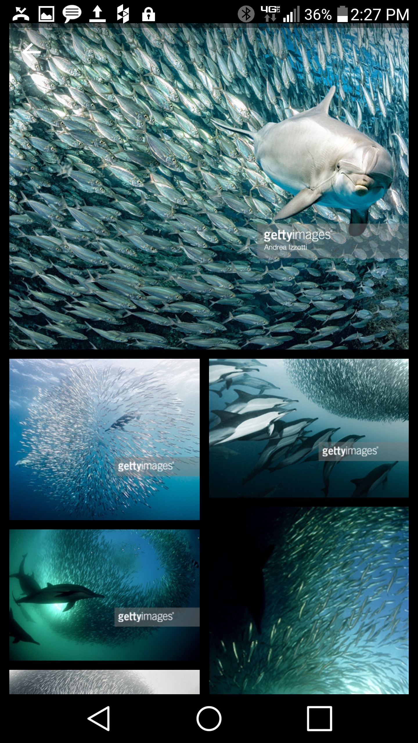 Getty Images for Android gallery image