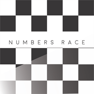 Numbers Race