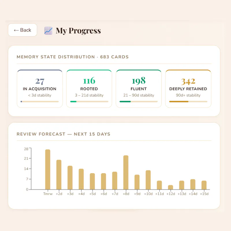 Speafy — Learn the way your brain wants. screenshot 2