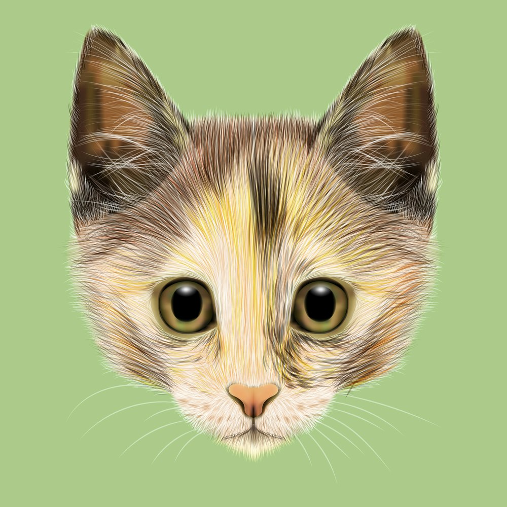 Republic Of Animaland gallery image
