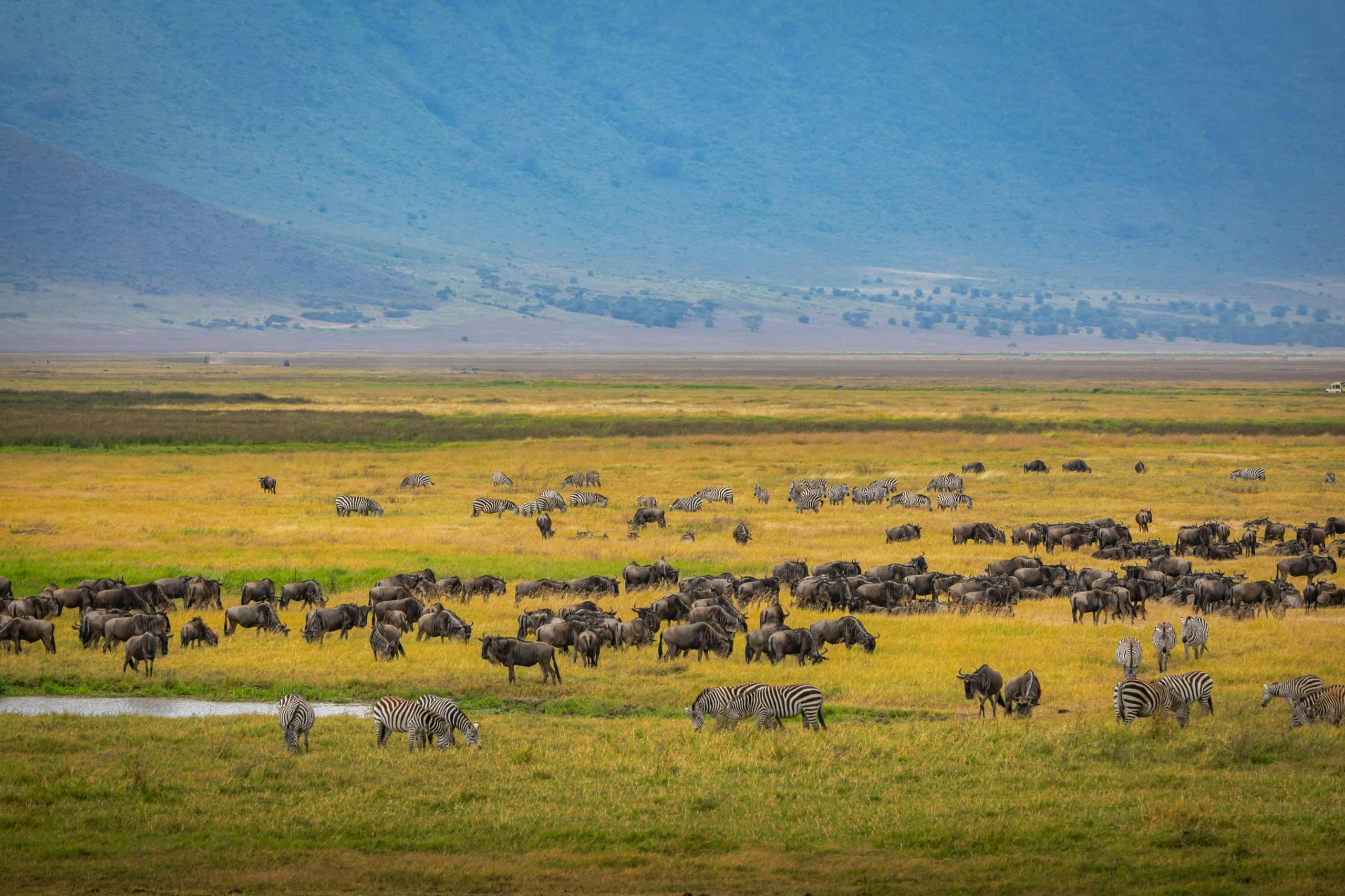 Africantrust Safari gallery image