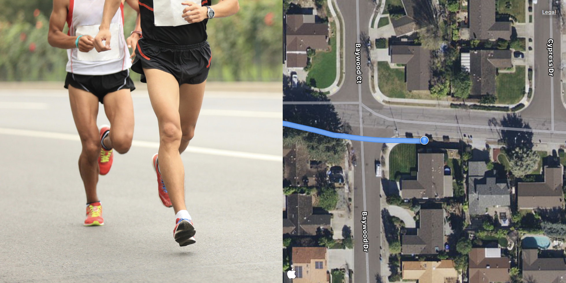 Bluelane gallery image