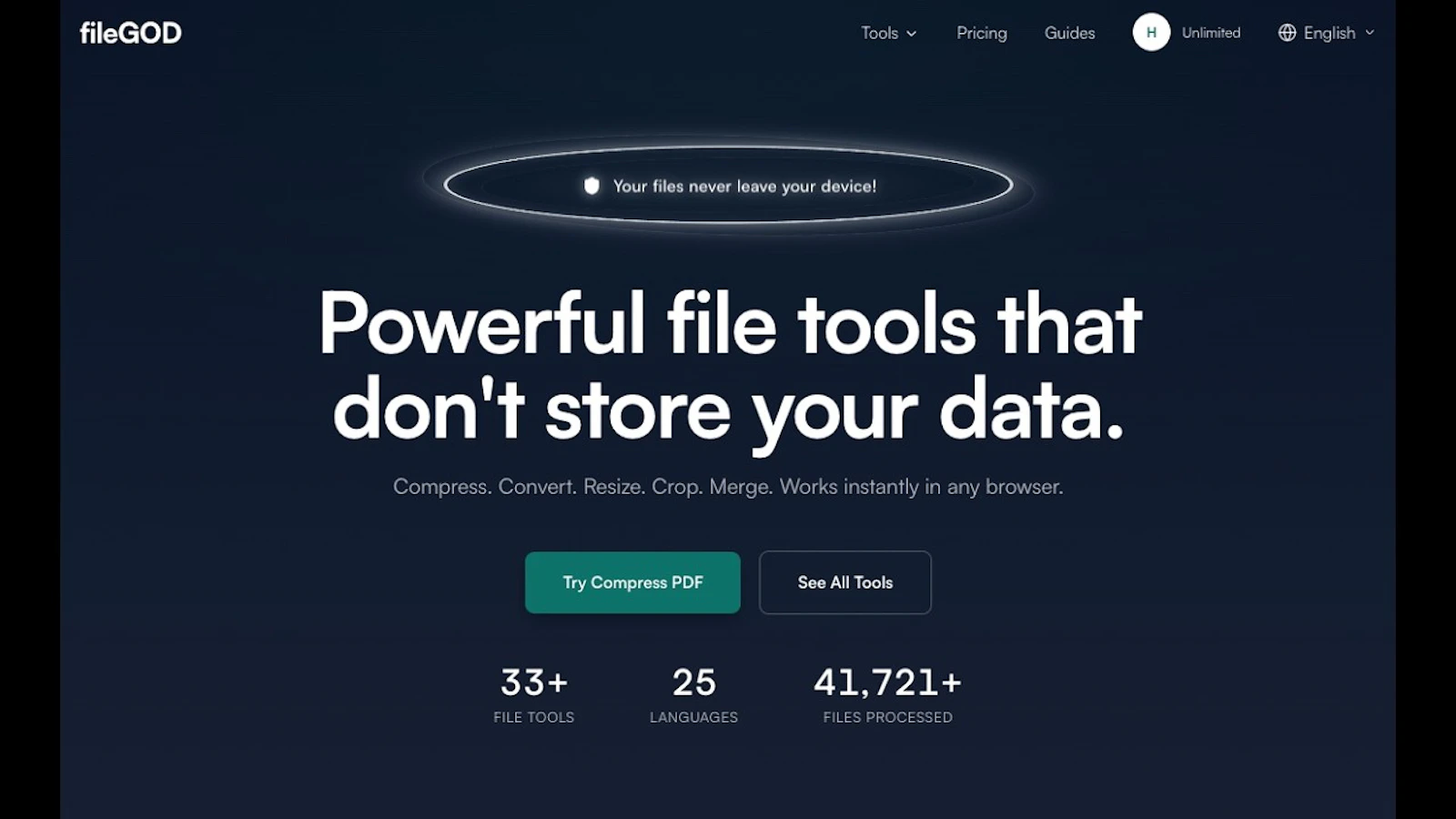 fileGOD screenshot 1 (video preview)