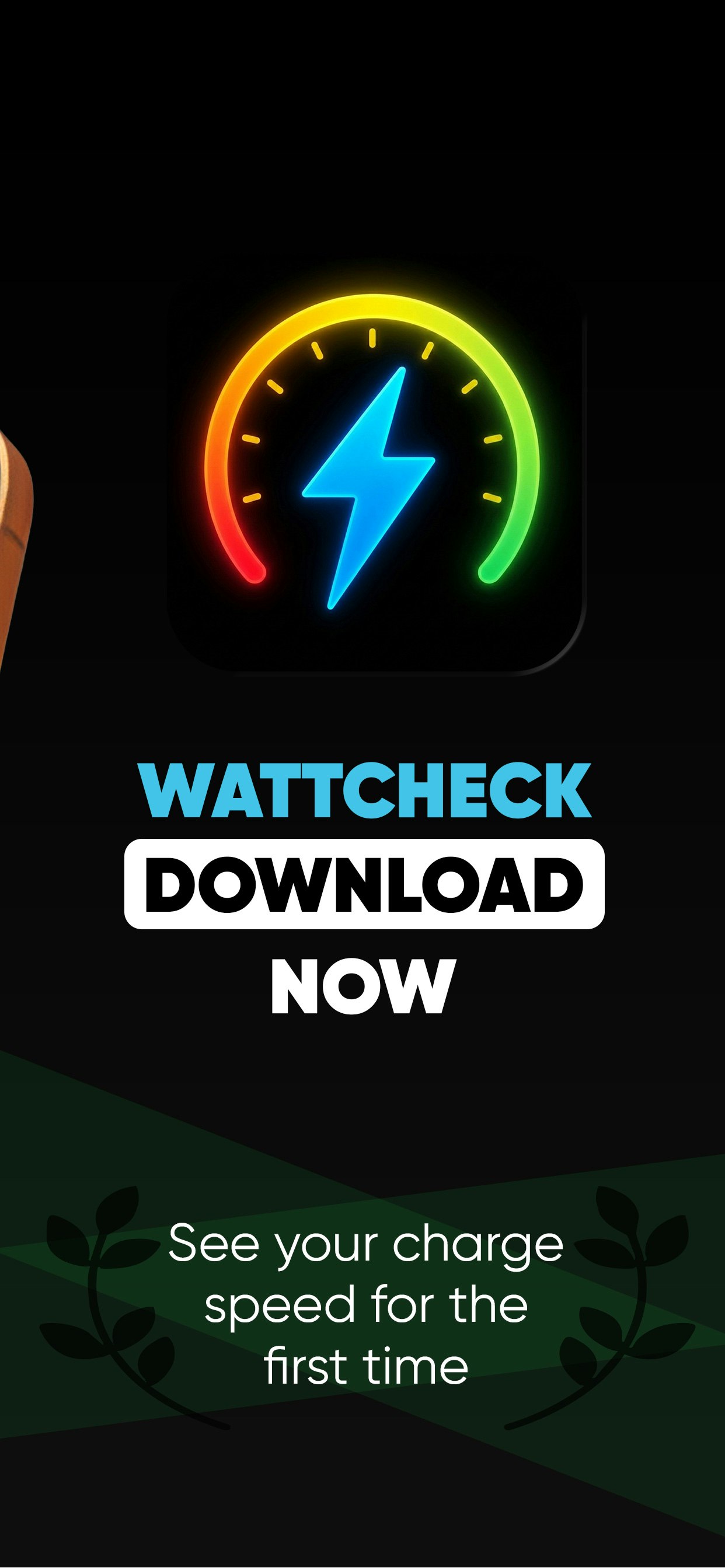 Your charger is real wattage, iOS App gallery image