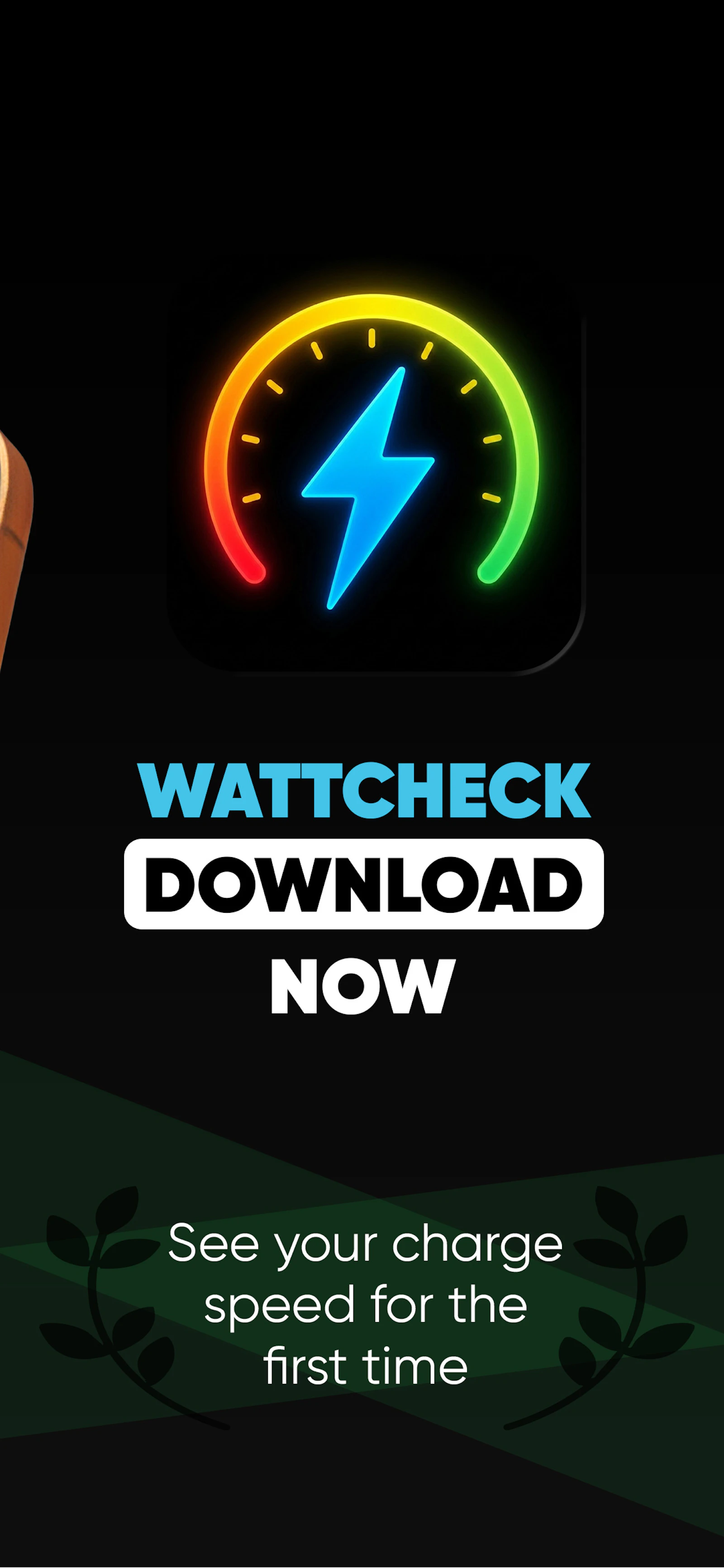 Your charger is real wattage, iOS App screenshot 4