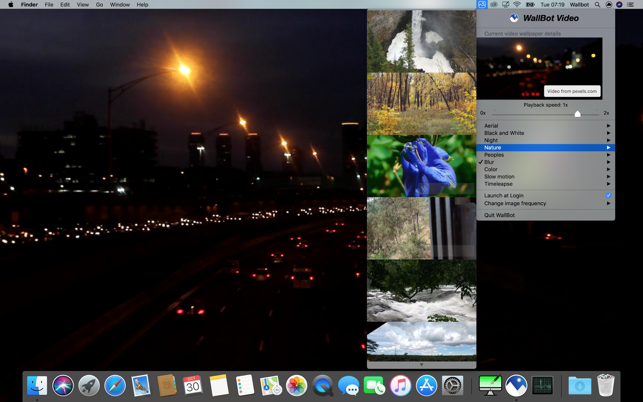 WallBot Video gallery image