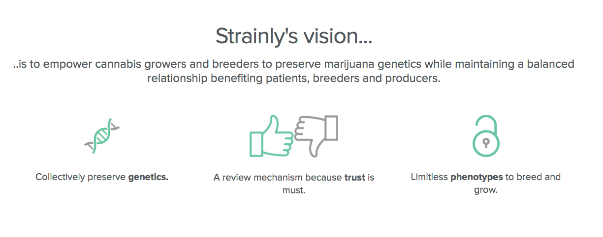 Strainly gallery image