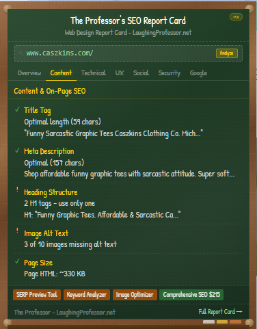 The Professor's Web Design Report Card gallery image