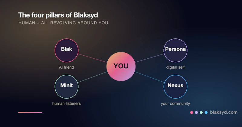 Blaksyd screenshot 4